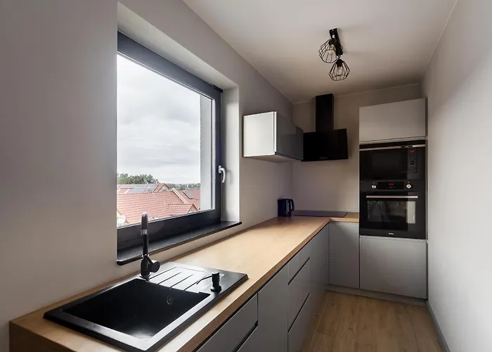 Martinus 梅彻林基